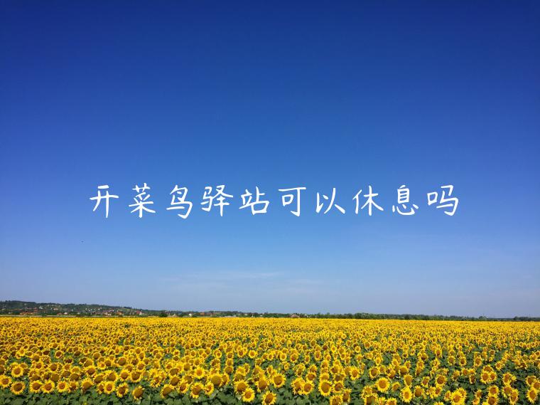 開(kāi)菜鳥(niǎo)驛站可以休息嗎